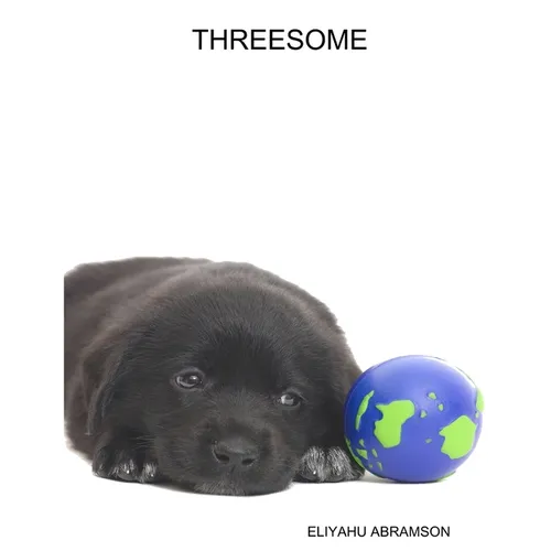 Threesome - Paperback