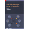 Effective Teaching in Large STEM Classes - Hardcover
