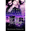 Taboo: An Mfm Menage Romance - Paperback