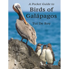A Pocket Guide to Birds of Galápagos - Paperback