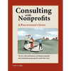 Consulting with Nonprofits: A Practitioner's Guide - Paperback