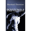 Boystown 4: A Time For Secrets - Paperback