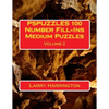 PSPUZZLES 100 Number Fill-Ins Medium Puzzles Volume 2 - Paperback