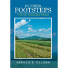 In Their Footsteps: A 500 Year Genealogical Odyssey - Hardcover