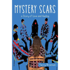 Mystery Scars: a Story of Love and Healing - Paperback