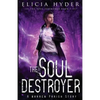 The Soul Destroyer - Paperback