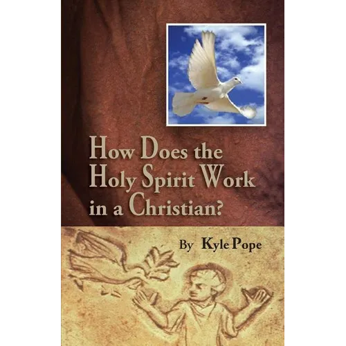 How Does the Holy Spirit Work in a Christian? - Paperback