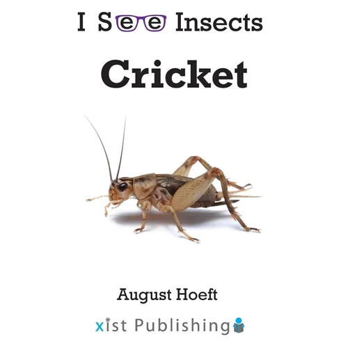 Cricket - Paperback
