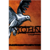 John: Lectio Divina for Youth - Paperback