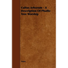 Cultus Arborum - A Description Of Phallic Tree Worship - Paperback