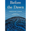 Shimazaki: Before the Dawn Paper - Paperback