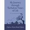 My Journey Through Turbulent Times of Life - Paperback