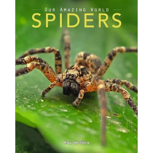 Spiders: Amazing Pictures & Fun Facts on Animals in Nature - Paperback