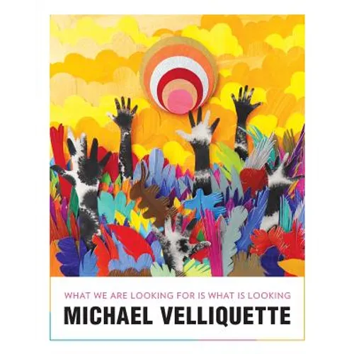 Michael Velliquette: What We Are Looking For is What is Looking - Paperback