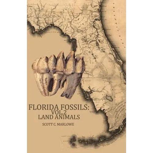Florida Fossils: Land Animals - Paperback