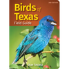 Birds of Texas Field Guide - Paperback