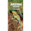 Arizona Wildlife: A Folding Pocket Guide to Familiar Animals