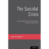 The Suicidal Crisis: Clinical Guide to the Assessment of Imminent Suicide Risk - Paperback
