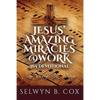 Jesus' Amazing Miracles (JAMS) @ Work 365 Day Devotional: My Story/My Song - Paperback