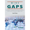 Mine the Gaps: A powerful framework to achieve excellence within your life science supply chain - Paperback