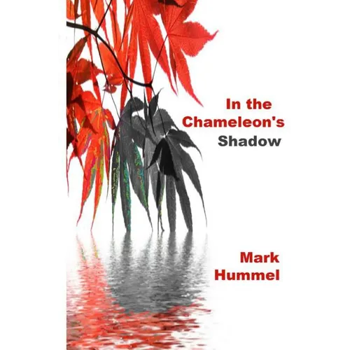 In the Chameleon's Shadow - Paperback