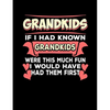 Grandkids If I Had Known Grandkids: Funny Quotes and Pun Themed College Ruled Composition Notebook - Paperback