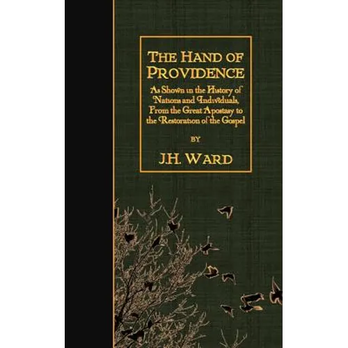 The Hand of Providence: As Shown in the History of Nations and Individuals, From the Great Apostasy to the Restoration of the Gospel - Paperback