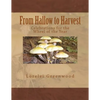 From Hallow to Harvest: Celebrations for the Wheel of the Year - Paperback
