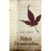 Pothole Perambulation - Paperback