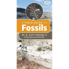 A Field Guide to Fossils - Paperback