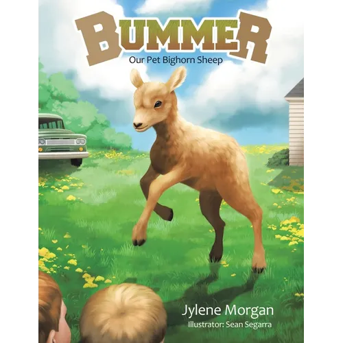Bummer: Our Pet Bighorn Sheep - Paperback