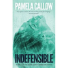 Indefensible: Book 2 of the Kate Lange Thriller Series - Paperback