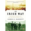 The Irish Way: Becoming American in the Multiethnic City - Paperback