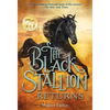 The Black Stallion Returns - Paperback