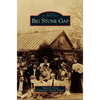 Big Stone Gap - Hardcover
