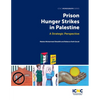 Prison Hunger Strikes in Palestine: A Strategic Perspective - Paperback