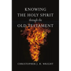 Knowing the Holy Spirit Through the Old Testament - Paperback