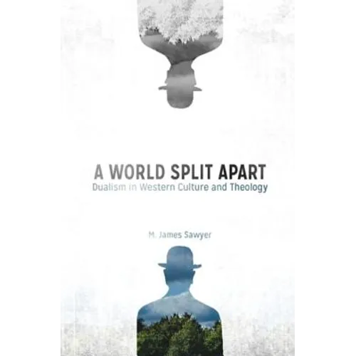 A World Split Apart: Dualism in Western Culture and Theology - Paperback