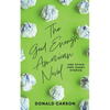 The Good Enough American Novel - Paperback