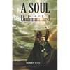 A Soul Undiminished - Paperback