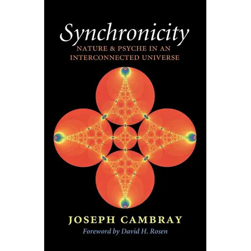 Synchronicity: Nature and Psyche in an Interconnected Universe Volume 15 - Paperback