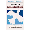 What Is Sanctification?: Understanding the Meaning of Entire Sanctification - Paperback