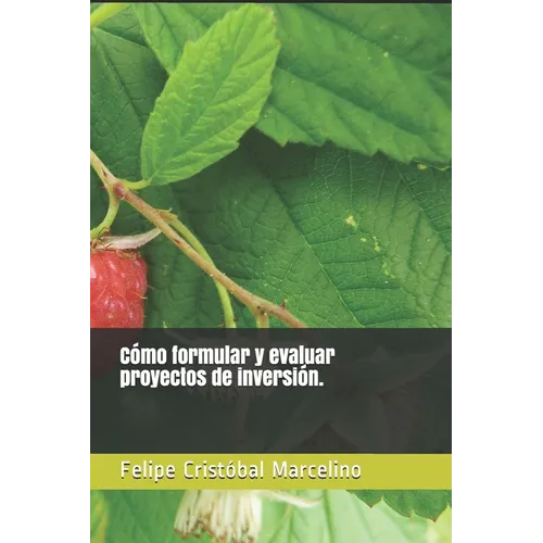 Cómo formular y evaluar proyectos de inversión. - Paperback