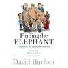 Finding the Elephant: Subspace, the Mega-phenomenon - Paperback
