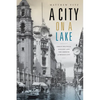 A City on a Lake: Urban Political Ecology and the Growth of Mexico City - Paperback