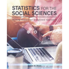 Statistics for the Social Sciences: Moving Toward an Integrated Approach - Paperback