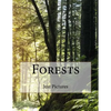 Forests - Paperback
