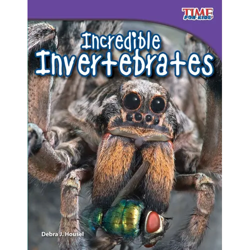 Incredible Invertebrates - Paperback