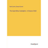 The Quiet Miss Godolphin. A Chance Child - Paperback