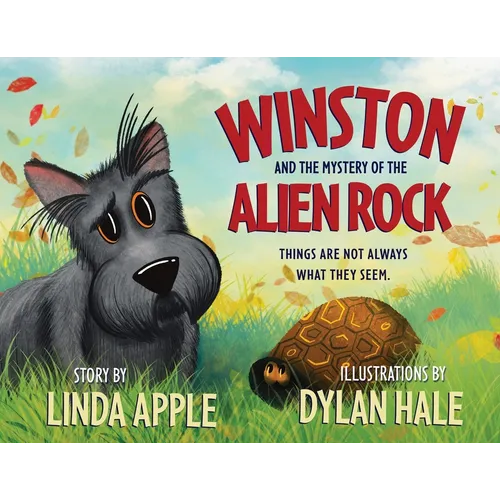 Winston and the Mystery of the Alien Rock - Paperback
